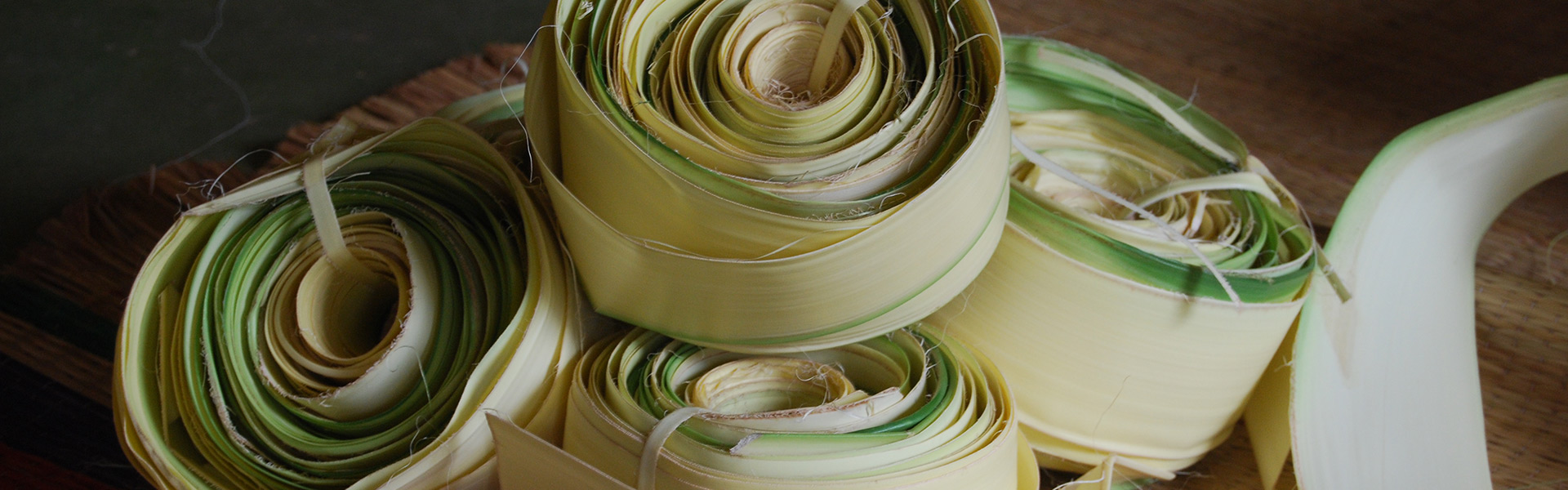 Heritage Foundation Save for Future